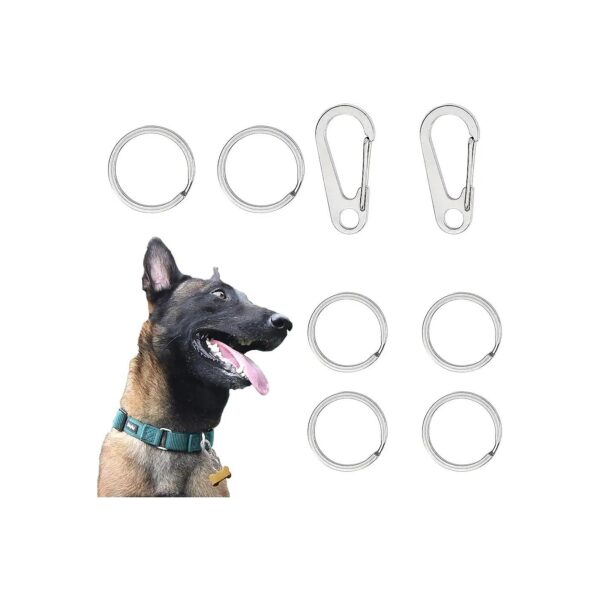 Large Size Stainless Steel Pet ID Tag Holders in Silver Oval Shape for Cat Dog Collars