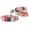 Large Size Watermelon Dog Collar and Leash Set with Soft Cotton Fabric