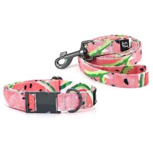 Large Size Watermelon Dog Collar and Leash Set with Soft Cotton Fabric