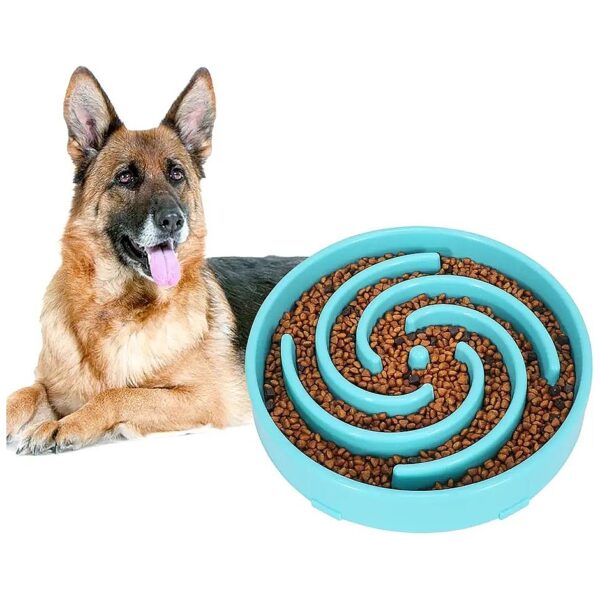 Large Slow Feed Dog Bowl with Fun Maze Design for Healthy Eating Habit