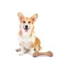 Large Small Breed Dog Teething Toys with Natural Wood and Pine Scent for Interactive Fun