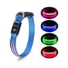 Large Small Medium Dog Collar with Sturdy Rechargeable LED Lighting