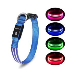 Large Small Medium Dog Collar with Sturdy Rechargeable LED Lighting