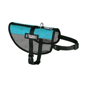 Large Turquoise Mesh Vest for Dogs with Reflective Patches and Adjustable Straps