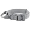 Large and Extra Large Dog Collar with Soft Padded Nylon and Heavy Duty Metal Buckle