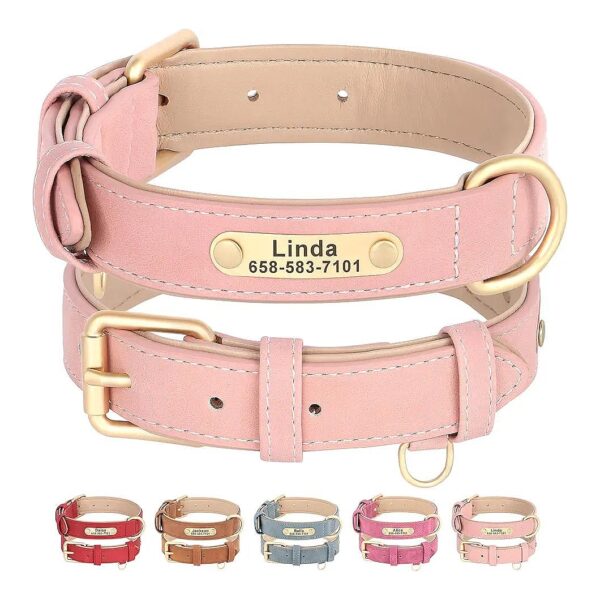 Large and Small Dog Collar Set with Genuine Leather Leash and Padded Collar