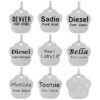 Laser Etched Round Stainless Steel Pet ID Tags with Paw Print Paw Print Bone L