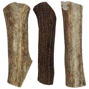 Lasting Antler Chews for Large Breed Dogs - Nutritionally Dense Dental Care