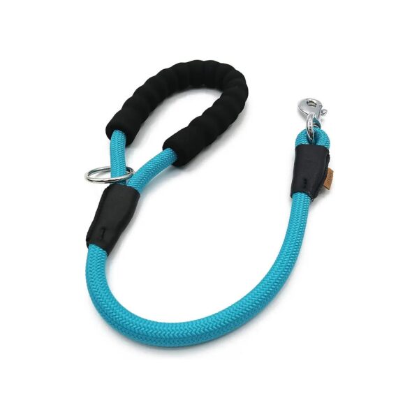 Lasting Dog Walking Leash for Medium to Large Breeds with Heavy-Duty Braided Rope