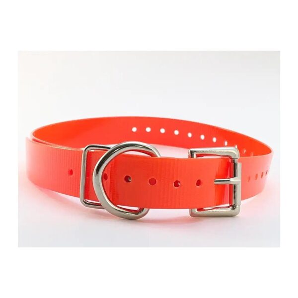 Lasting Neon Orange Straph with Roller Buckle Closure for Small to Medium-Sized Dogs