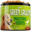 Lasting Soft Chew Treats for Dogs with ACV Cranberry Enzyme Blend for Healthy Digestion