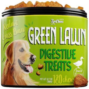 Lasting Soft Chew Treats for Dogs with ACV Cranberry Enzyme Blend for Healthy Digestion