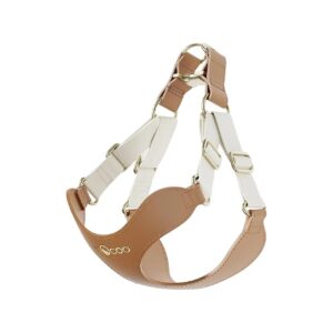 Latte Cat Harness and Leash Set with Adjustable Strap and PU Leather