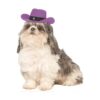 Lavender Cowboy Hat for Dogs in Medium Large Multicolor