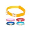 Layer Design Bucks Safety Collar for Small Medium Large Dogs Orange Yellow Adjustable