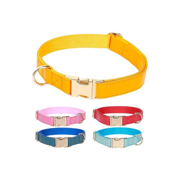 Layer Design Bucks Safety Collar for Small Medium Large Dogs Orange Yellow Adjustable