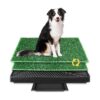 Layer Dog Grass Pad with Tray, Large Capacity Collecting Box for Easy Cleanup