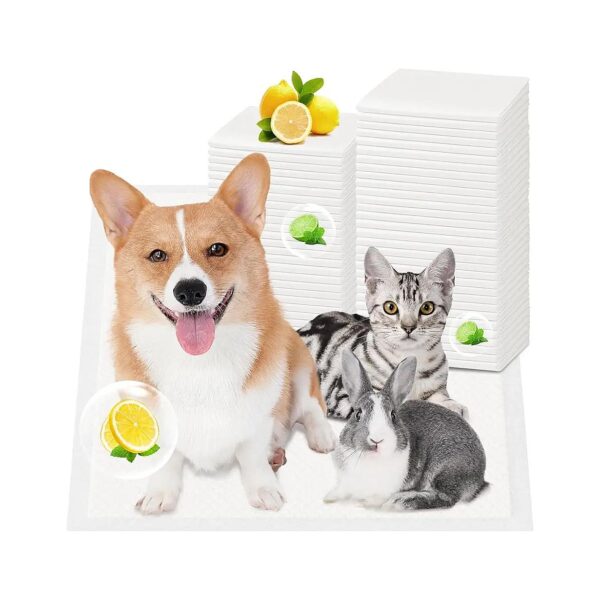 Layer Lemon Scented Pet Training Pads for Dogs