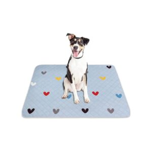 Leakproof and Gentle on Floors 2PCS Dog Pee Pads