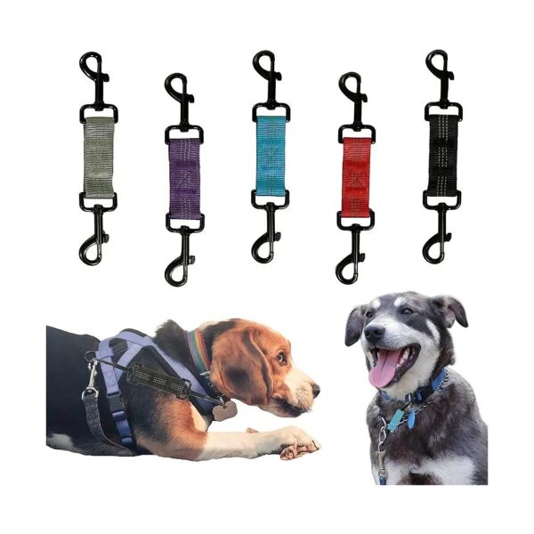 Leash Safety Clip for Dog Collars Prong Collar Backup Connection