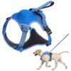 Leash for Small Medium Large Dogs - No-Pull Control & Retractable Leash