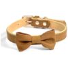 Leather Bow Tie Buckle Dog Collar in Brown for Small to Medium Breed Dogs