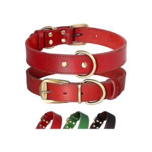 Leather Dog Collar with Adjustable Metal Buckle and D-Rings for Medium Large Breed Dogs