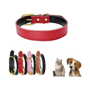 Leather Dog Collar with Gold Buckle and Soft Touch Padded Cowhide for Small to Large Dogs