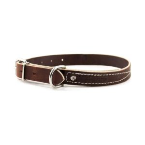 Leather Dog Collar with Latigo Leather and Stainless Steel Hardware Closure