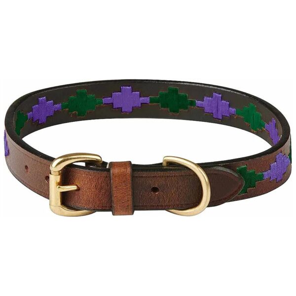 Leather Dog Collar with Luxurious Leather Beaufort Brown/Purple/Teal