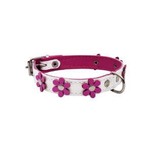 Leather Dog Collar with Soft Lining and Real Daisy Flowers Embroidery