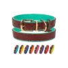 Leather Dog Collars with Soft Padded Post Padded Inner Layer and Strong Brass Buckle