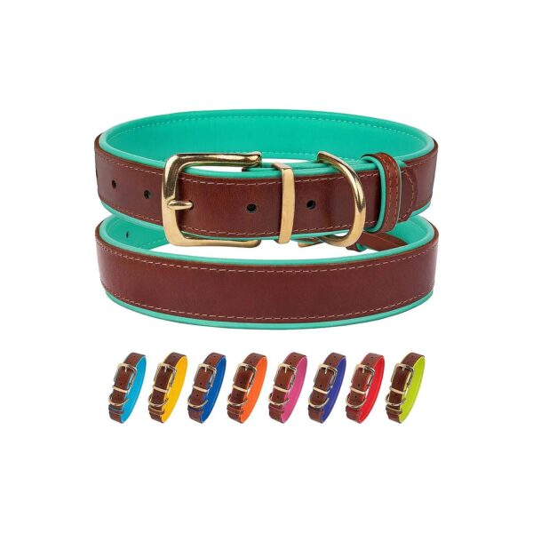 Leather Dog Collars with Soft Padded Post Padded Inner Layer and Strong Brass Buckle