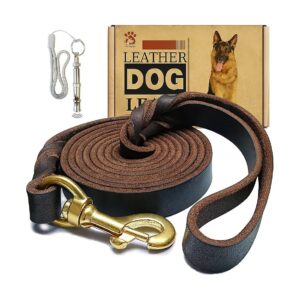 Leather Dog Leash 6ft x 3/4 inch for Small and Medium Breed Dogs