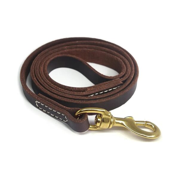 Leather Dog Leash for Walking and Training, 4/6 ft Long with 100% Leather Construction