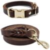 Leather Dog Training Leash for Small Dogs 5ft with Comfortable Hand Grip