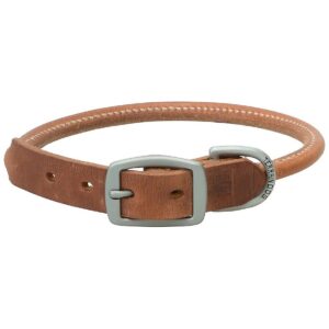 Leather Rolled Dog Collar with Rolled Design and Durable Aluminum-Finished Hardware