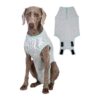 Licking Boy Dog Onesies Recovery Suit for Male Female Spay Neuter After Surgery Grey XS