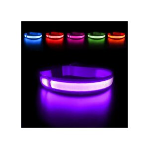 Light Up Dog Collars for Increased Visibility Safety Walking Glow Collar Purple Medium