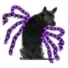 Light Up Spider Dog Costume, LED Lights, Battery Box, Premium Felt Fabric, Medium Size