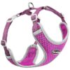 Light Weight Air Mesh Dog Harness with Reflective Straps for Small and Medium Dogs