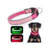 Lighted Dog Collar For Night Walking With 3 Lighting Modes And Reflective Edge