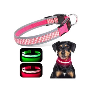 Lighted Dog Collar For Night Walking With 3 Lighting Modes And Reflective Edge