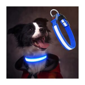 Lighted Glow in the Dark Vizbrite Dog Collar for Small Medium Large Dogs