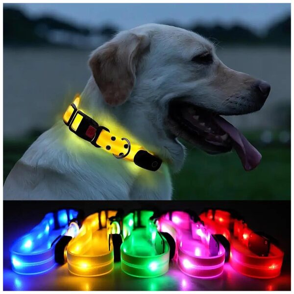 Lighted LED Dog Collar for Night Walking Waterproof Medium to Large Dogs Yellow