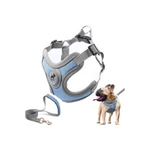 Lightweight Air-Mesh Dog Harness with Leash Attachment for Easy Walking and Excursions