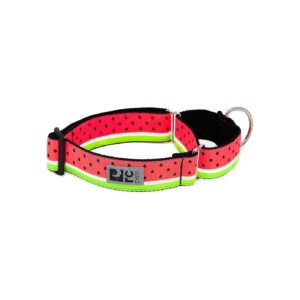 Lightweight All Webbing Dog Collar for Long Haired Breeds in Medium Size