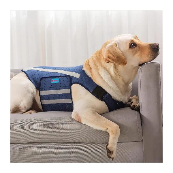 Lightweight Anxiety Relief Shirt for Dogs XS Size Blue Color