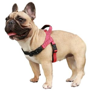 Lightweight Dog Harness for Small Medium Dogs Easy Wear System