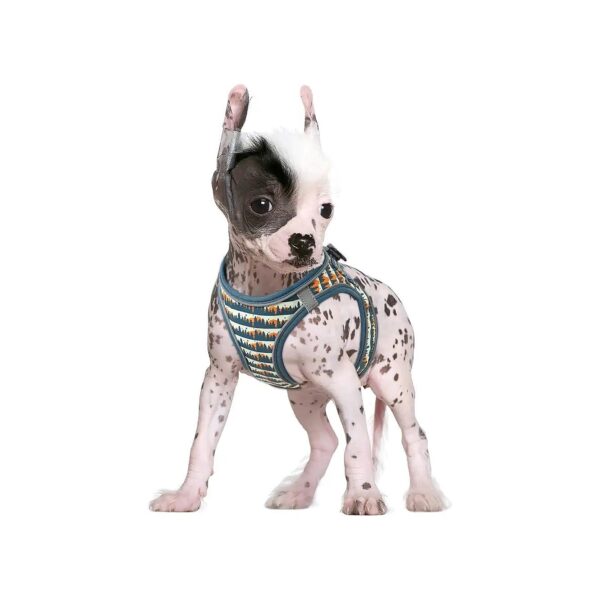 Lightweight Easy-to-Wear Dog Harness Adjustable Nylon Padded Cushion Contoured Fit